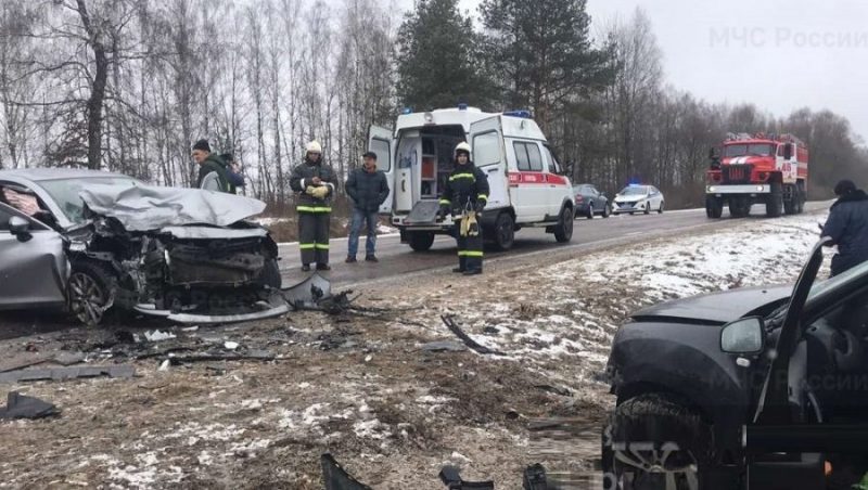 В Брянске осудят 60-летнего автолюбителя за гибель в ДТП двух человек