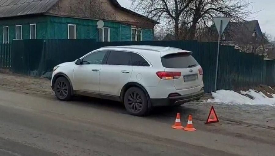 В Брянске на улице Бежицкой автомобиль Kia на обочине сбил двух девочек