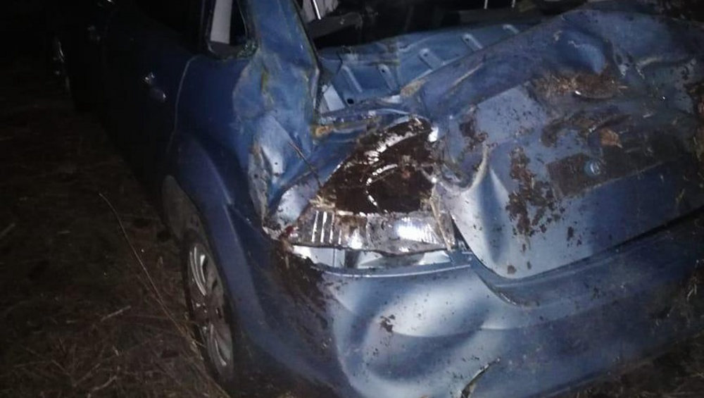 Врезавшийся в пень на брянской трассе 34-летний водитель получил тяжелые травмы