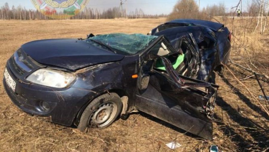 Под Гордеевкой в ДТП погиб 63-летний водитель автомобиля Lada Granta