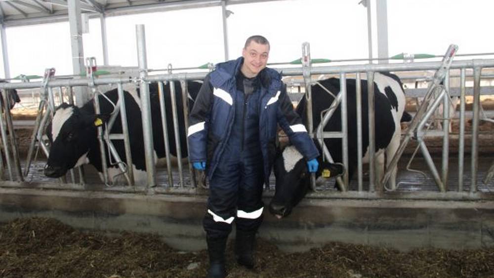 Новая ферма в Брасовском районе стала давать 45 тонн молока в сутки