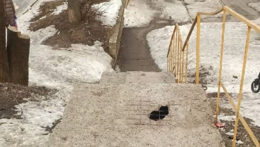 На лестнице по улице Романа Брянского заметили опасную  ловушку