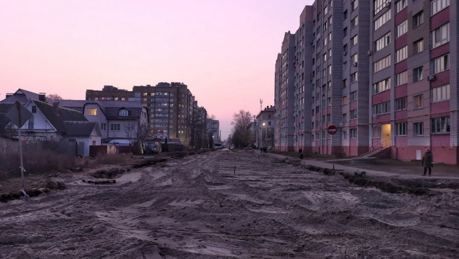 В Брянске на улице Медведева построили дорогу вместо озера с утками
