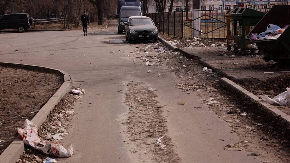В Брянске окрестности школы и детсада стали территорией мусора и воронья