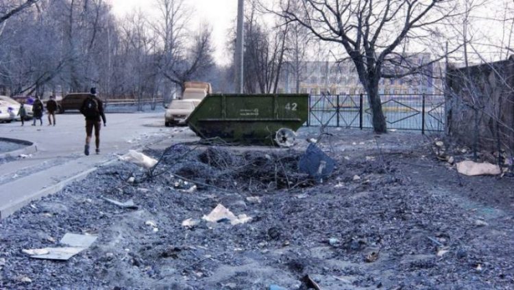 В Брянске окрестности школы и детсада стали территорией мусора и воронья