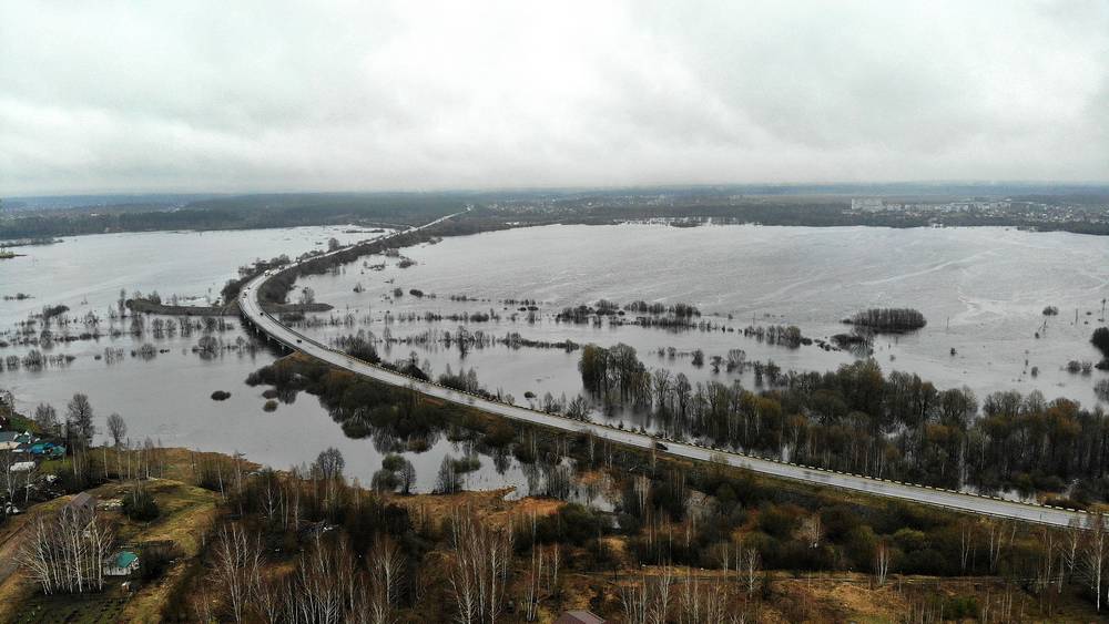 В Брянске вешними водами затопило 17 домов