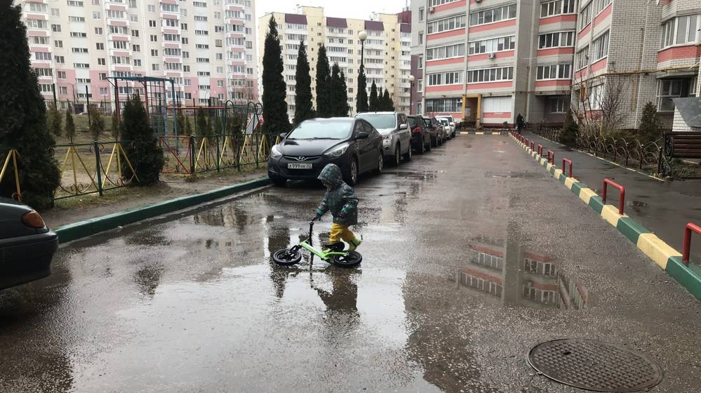 Управление МЧС сообщило о дожде при 16 градусах тепла в Брянской области 25 марта