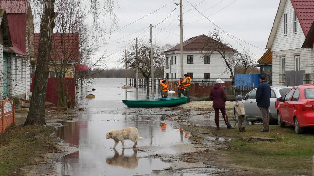 В Брянской области затопленными остаются три жилых дома и две автодороги