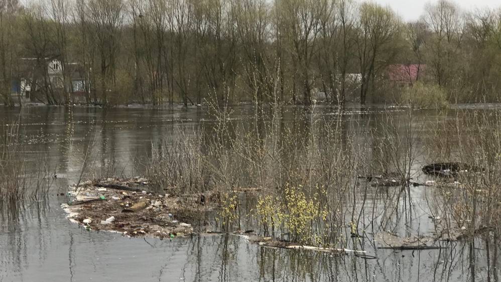 В Брянске возле набережной образовалась лагуна экологической катастрофы