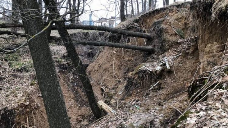 В Брянске возле ЖК «Мегаполис» образовались очаги природной катастрофы
