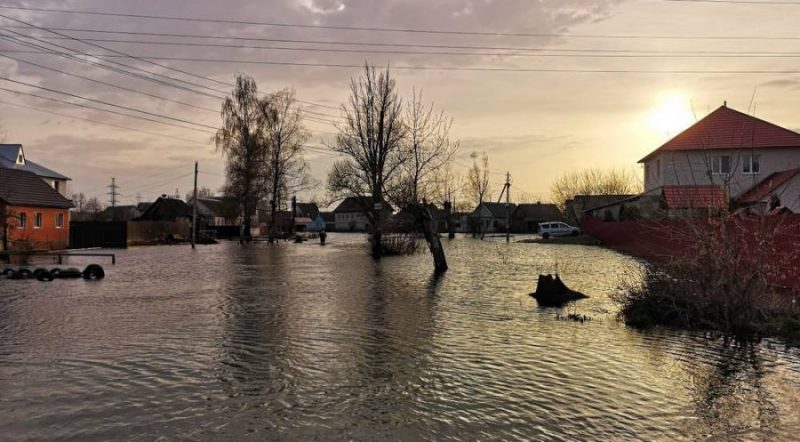 В районах Брянска начали работу комиссии для оценки ущерба от паводка
