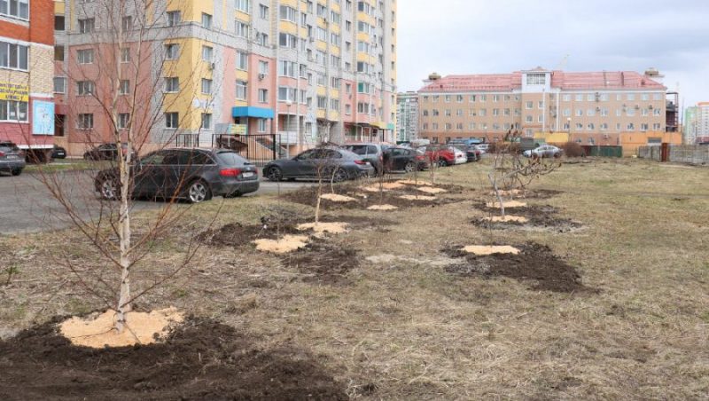 «Зеленый» спор налоговиков и жильцов дома в Брянске разрешили на субботнике