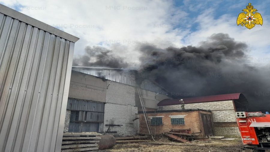 В Почепе Брянской области сгорел цех по обработке древесины