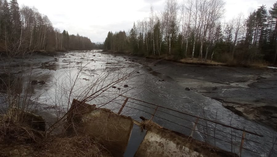 Живописное лесное озеро в Брянской области пропало из-за прорыва плотины