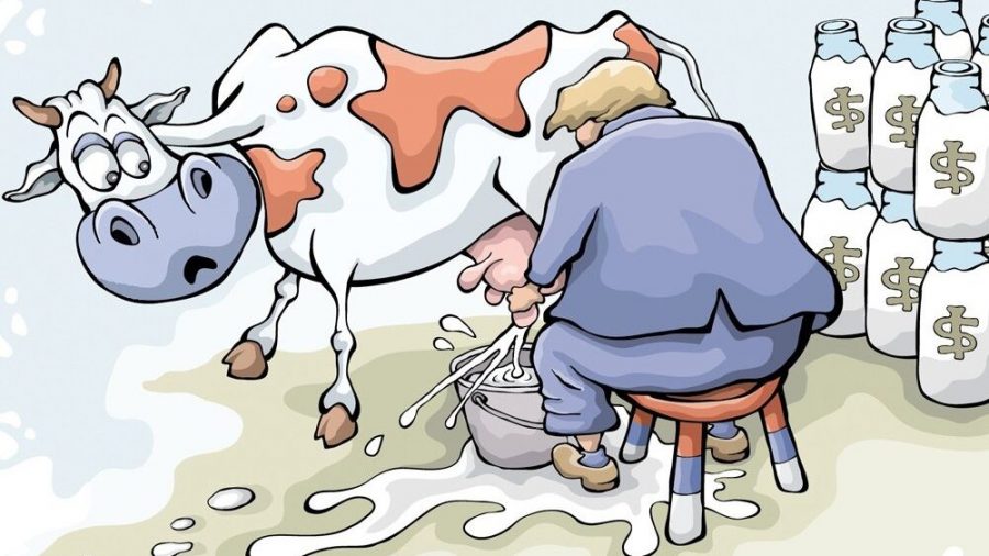 Импортозамещенная продукция брянских молочников до беды доведет