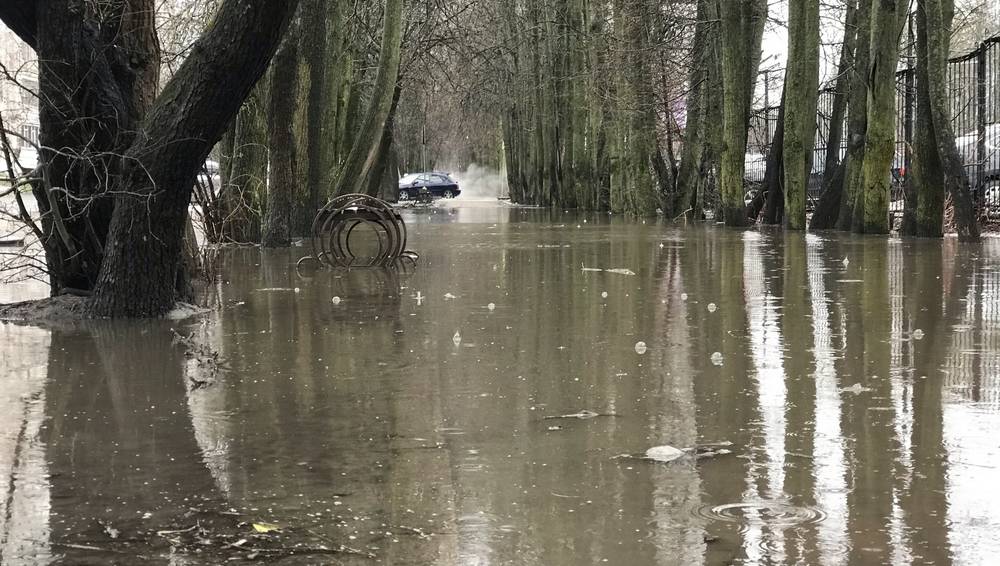 В Брянске тротуар липовой аллеи превратился в полосу водных препятствий