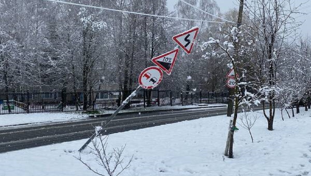 Из-за обрушившегося на Брянск снегопада рухнули дерево и дорожный знак