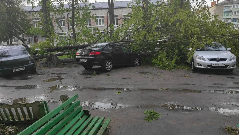 В Брянской области поваленные ураганом деревья повредили десятки автомобилей