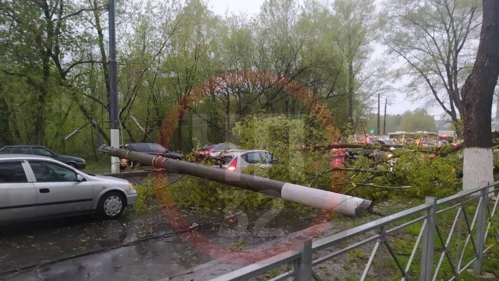 В Брянске ураганный ветер повалил бетонный столб на бульваре Щорса