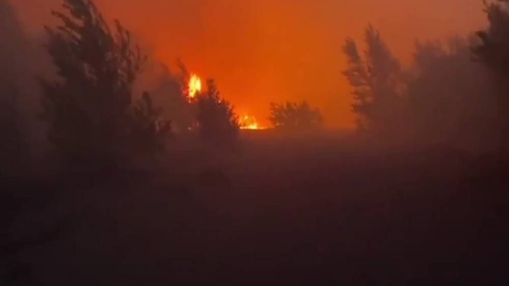 Дым пожара в чернобыльской зоне 19 мая ветер понесет в сторону Брянска