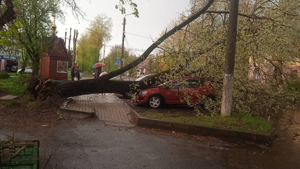 В Брянской области рухнувшие во время урагана деревья повредили 19 автомобилей