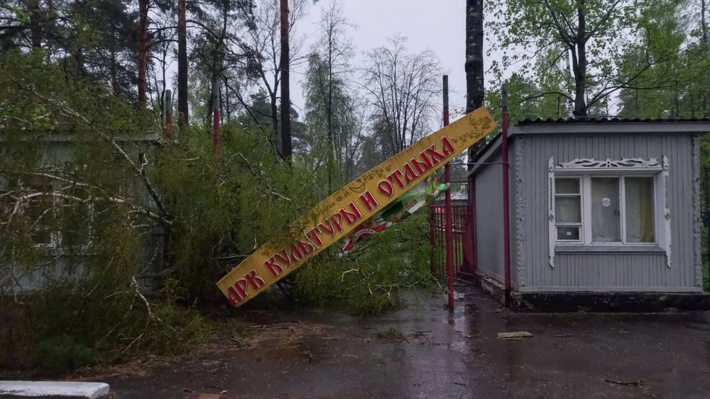 В городском парке Жуковки ураганный ветер сковырнул деревянные туалеты