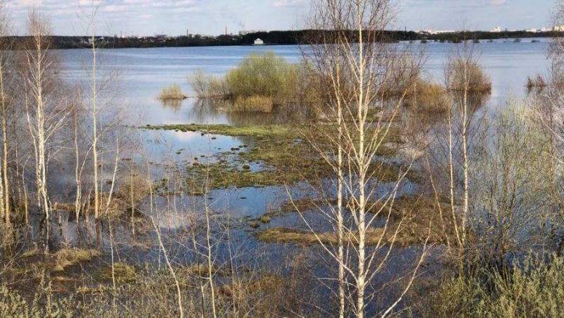 В Брянске вода озера Орлик поглотила огромную территорию с мусором