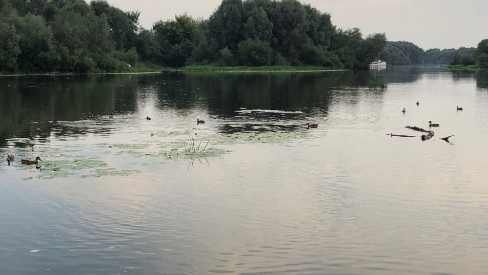 На проект расчистки русла реки Десны в Брянске потратят 11,6 млн рублей