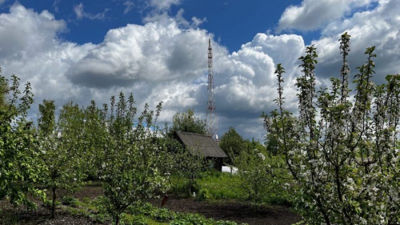 В Брянской области 28 июля прогремят грозы при 29-градусной жаре