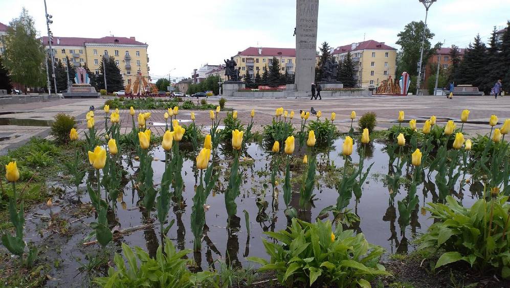 После дождя в Брянске клумбы на площади Партизан превратились в болото