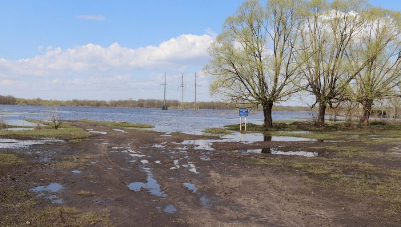 В Брянске уровень воды в Десне и Болве упал еще на 17 сантиметров