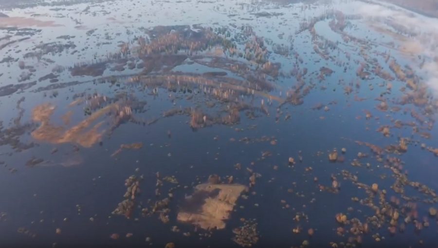 Житель Орла в Брянской области снял завораживающее видео разлива Десны