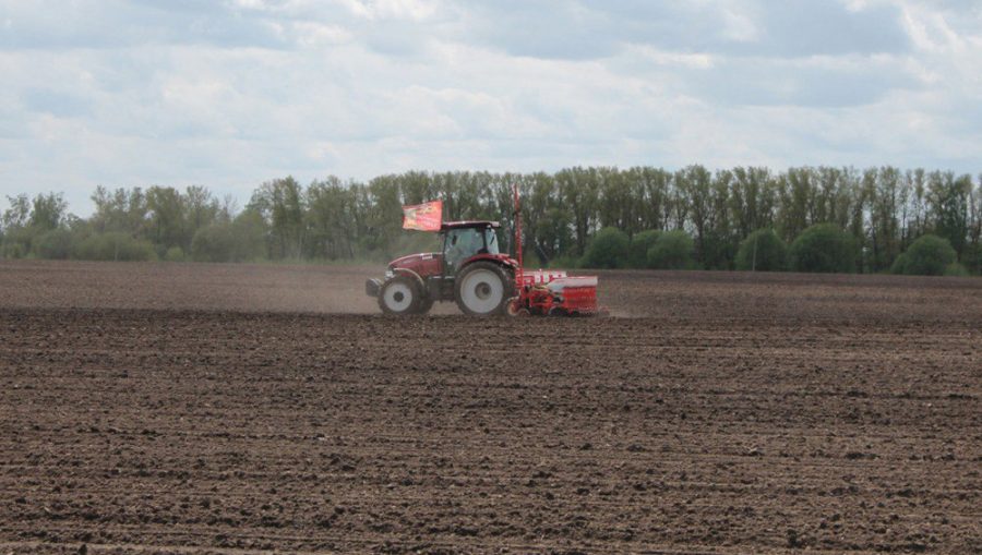 В Брянской области засеяли 77 процентов запланированных под зерновые площадей