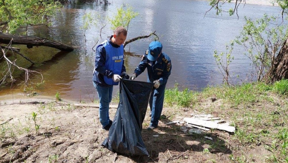 В Брянске волонтёры очистили от мусора берега реки Десны