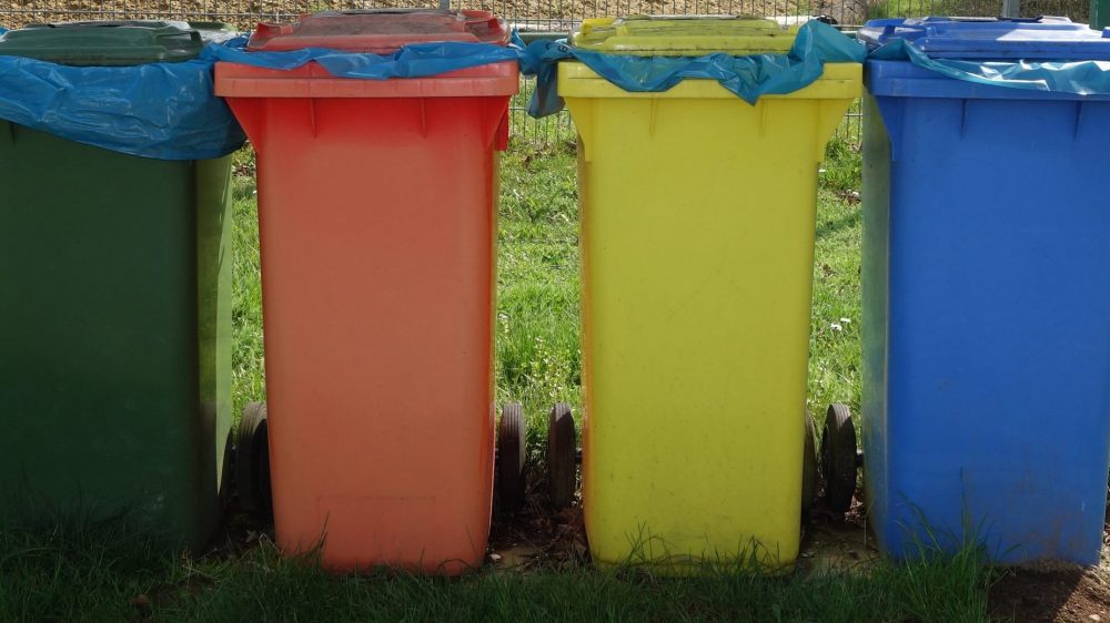 В Брянской области приобретут 5000 контейнеров для раздельного сбора мусора