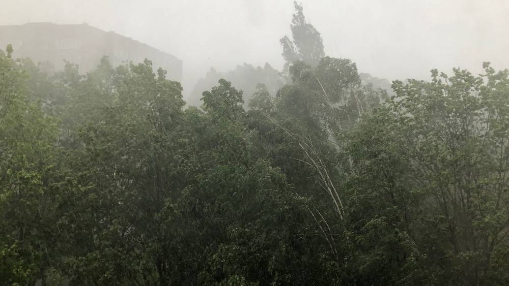 МЧС предупредило об урагане и ливнях с градом в Брянской области 21 июня