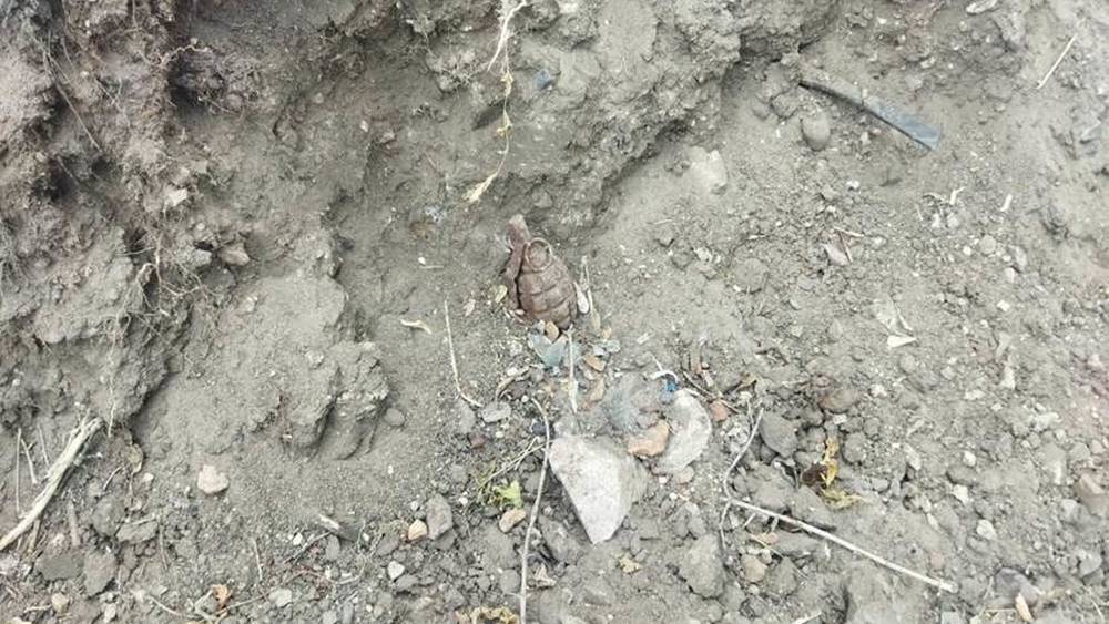 В Фокинском районе Брянска обнаружили гранату Ф-1 времен войны