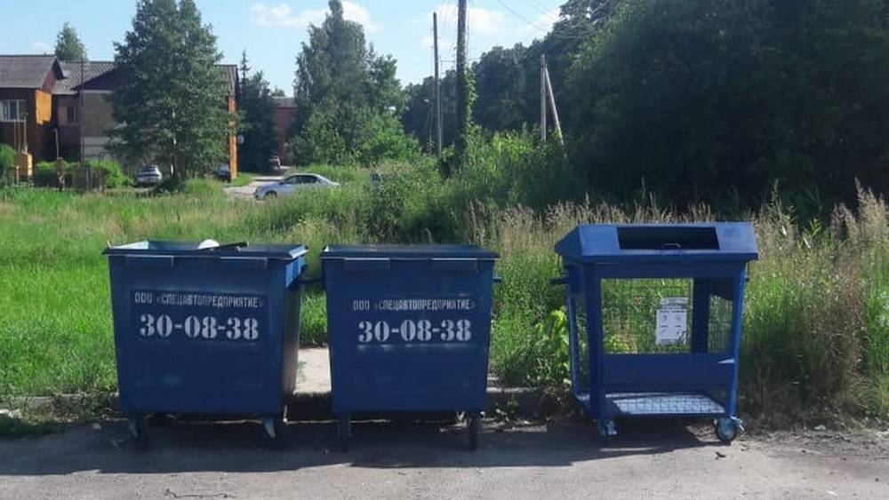 В Брянске зеленые и желтые контейнеры для мусора перекрасят в синий цвет