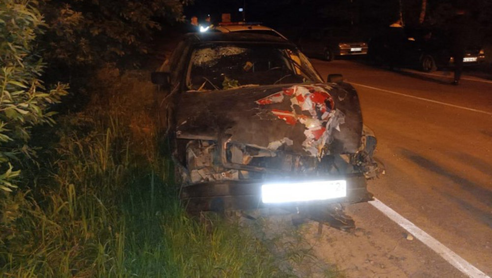 Под Карачевом 18-летний водитель врезался в дерево и покалечил пассажирку