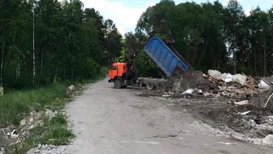 В Брянске рассказали об ужесточении наказания для оставляющих мусор в лесу водителей