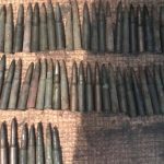 Брянские полицейские за два дня изъяли 7 единиц оружия и более 370 боеприпасов