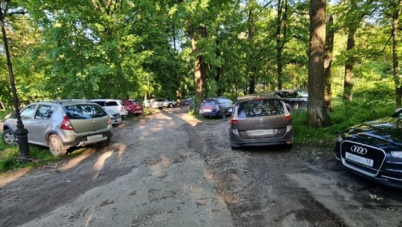 В Брянске водители парк Пушкина в Бежице превратили в парковку