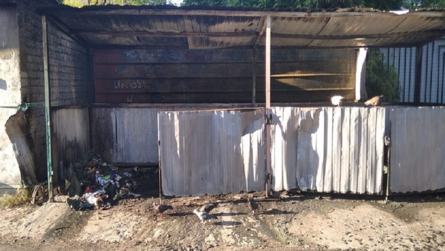 В Брянске неизвестные вредители сожгли семь мусорных контейнеров