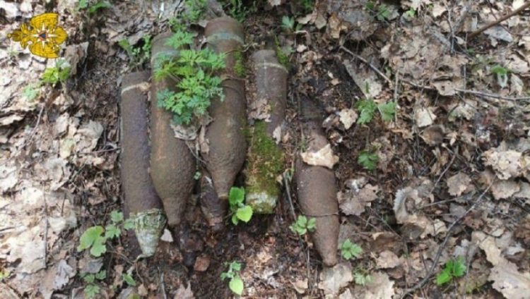 Возле Погара Брянской области обезвредили шесть артиллерийских снарядов
