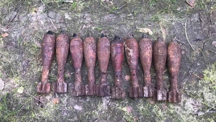 Под Навлей брянцев в лесу напугали десять миномётных мин