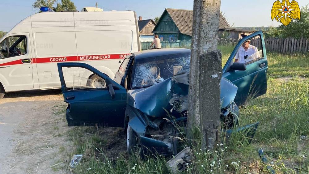 В Брасовском районе автомобиль на высокой скорости врезался в столб