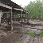 В Брянской области участились случаи краж на агропромышленных предприятиях
