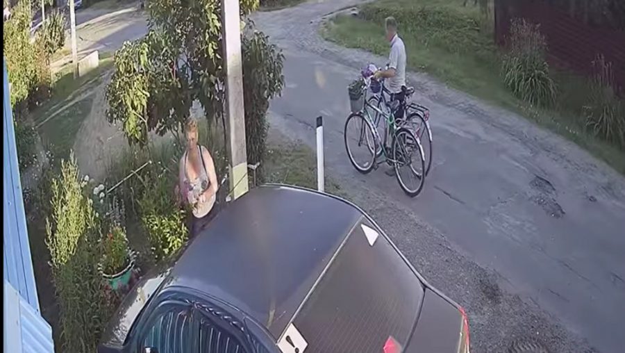 В Брянске в Фокинском районе женщина и мужчина на велосипедах украли цветы