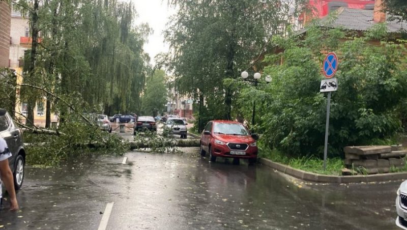 В Брянске на Октябрьской возле бульвара на дорогу рухнуло дерево