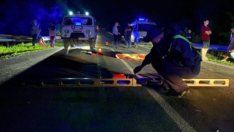 Брянская полиция нашла водителя, сбившего насмерть 22-летнего парня под Стародубом
